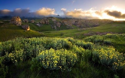www-zahiridunya-net-10-1