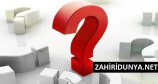 img85 310x165 - Yurtdışı Alışveriş Sözlüğü