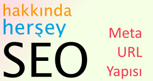 meta url yapisi 310x165 - Detaylı SEO Rehberi - Meta ve URL Yapısı