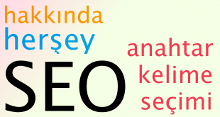 seo 310x165 - Detaylı SEO Rehberi - Anahtar Kelime Seçimi