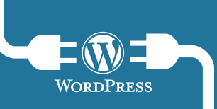 wordpress 306x154 - En Çok Tercih Edilen 5 Wordpress Eklentisi
