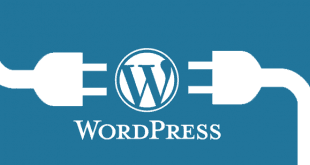 wordpress 310x165 - Wordpress Webhooks Nedir? Ne İşe Yarar?