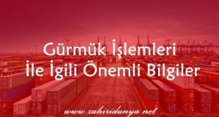 kargo ile alinan urunlerde gumruk bilgileri zahiridunya net 310x165 - Kargo İle Alınan Ürünlerde Gümrük Bilgileri