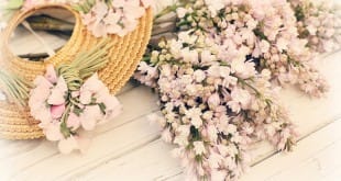 Uygun Fiyatlı Düğün Çiçekleri cicek 839 310x165 - Uygun Fiyatlı Düğün Çiçekleri