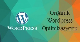 zahiridunya net organik wordpress optimizasyonu 310x165 - Organik Wordpress Optimizasyonu & Rehber
