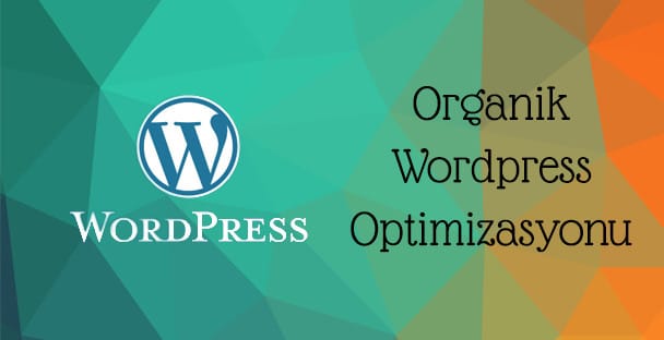 zahiridunya-net-organik-wordpress-optimizasyonu