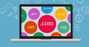 dunyada genelindeki domain kayit istatistikleri 310x165 - Dünyada Genelindeki Domain(alanadı) Kayıt İstatistikleri