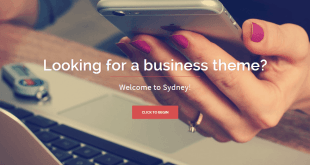 en cok tercih edilen 5 ucretsiz wordpress temasi 3 310x165 - En Çok Tercih Edilen 5 Ücretsiz Wordpress Teması