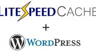 wordpress lscache uyumlu eklentiler ve postview zahiridunyanet 310x165 - Wordpress LSCache Uyumlu Eklentiler ve PostView Çalıştırmak